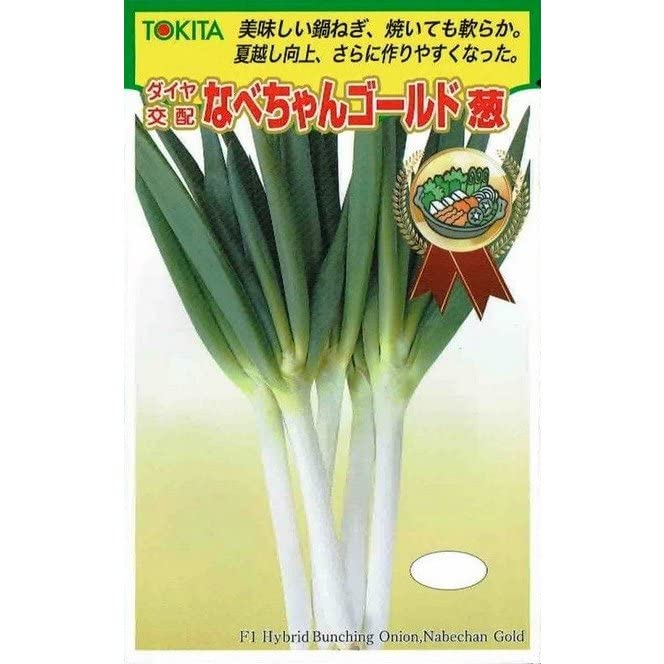 ネギページ Amazon.co.jp: トキタ種苗 ネギ なべちゃんゴールド : DIY・工具・ガーデン